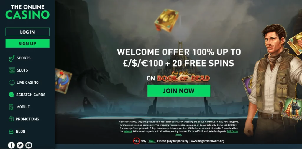 The Online Casino